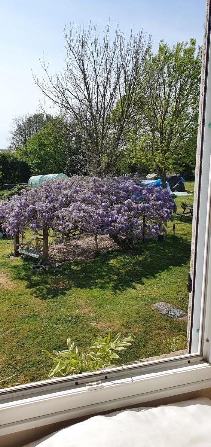Bed and Breakfast Wisteria House Chanteloup  Exterior foto