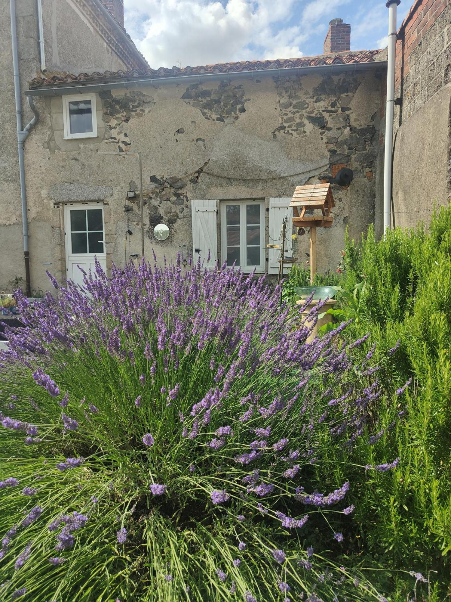 Bed and Breakfast Wisteria House Chanteloup  Exterior foto