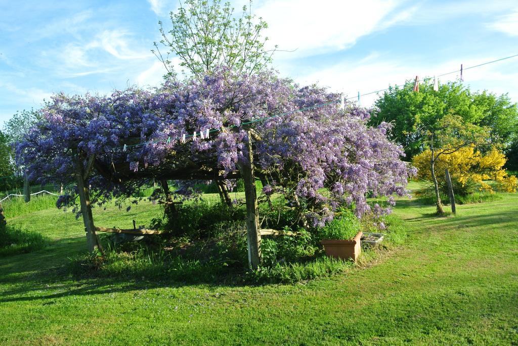 Bed and Breakfast Wisteria House Chanteloup  Exterior foto