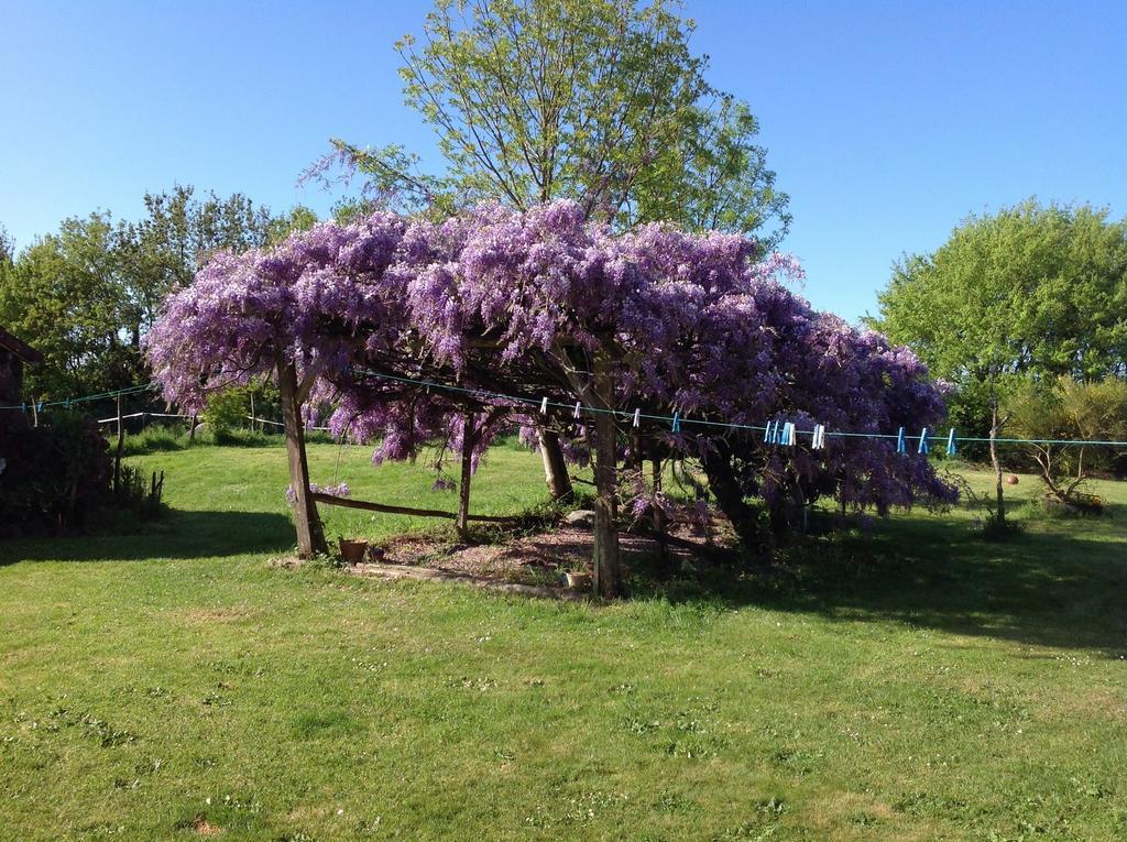 Bed and Breakfast Wisteria House Chanteloup  Exterior foto